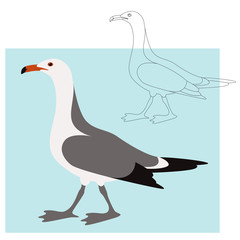 gull  vector illustration, flat style,profile side