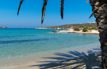 Agia Irini beach with exotic palms on Paros island in Greece