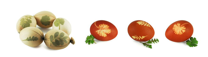 Easter eggs dyed with leaf imprints. Technique and result of egg coloring. Set isolated on white...