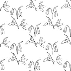 Seamless background with black-and-white snowdrops on white background. Endless pattern with flowers for your design. Vector.