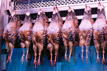Fresh feathered hens hanging head down on the market stand display. Chicken meat for sale at the...