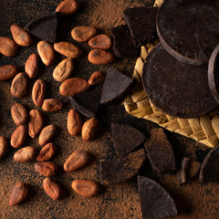 Cacao beans and chocolate on dark background