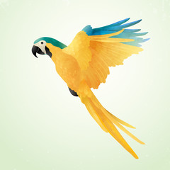 Flying blue and gold macaw isolated on light background. Vector illustration of Brazilian Ara. Watercolor on paper craft style. © sophonk