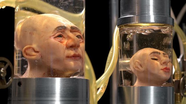 human heads without a body in cylindrical glass vessels (flasks), in a liquid with air supply (bubbles), similar to a laboratory for experiments, close-up