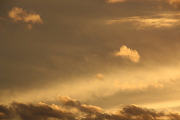 Sonnenuntergang in Gold