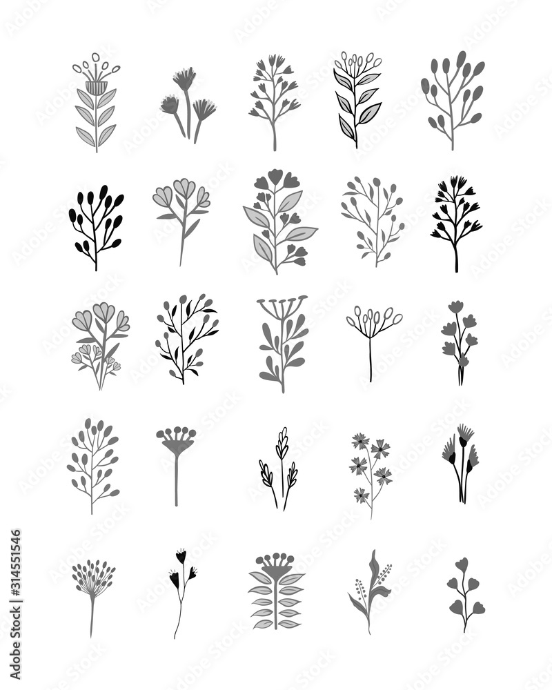 Wall mural set of vector flowers