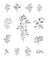 set of floral elements