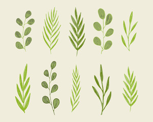 Fototapeta premium set of green leaves