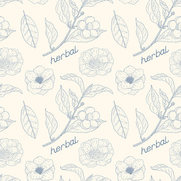 Camellia sinensis vintage seamless pattern. Cosmetic, perfumery and medical plant. Vector botany background.