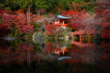 Daigo-ji temple with colorful maple  in autumn, Kyoto, Japan
