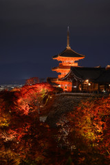 Kiyomizu pagoda  with illuminated colorful autumn leaf with Kiyomizu temple in Kyoto, Japan