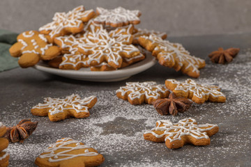 Fototapeta na wymiar Christmas cookies on kitchen countertop