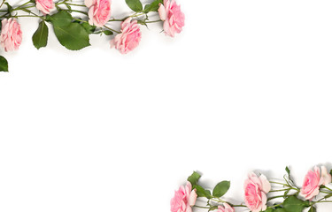 Frame of flowers pink roses with leaves on a white background with space for text. Top view, flat lay