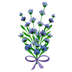 Bouquet of flowers and branches of lavender with a lilac bow. Watercolor illustration on a white background.