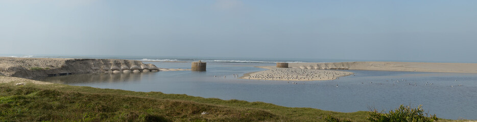 Panoramic of Esmoriz beach with seagulls on the sand island in Portugal
