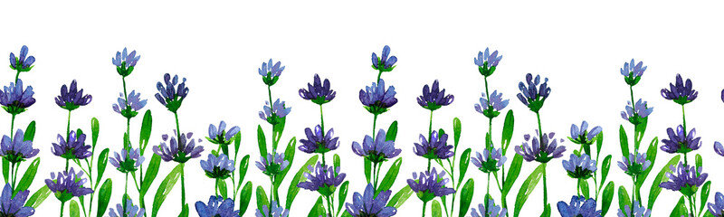 Seamless border of lavender flowers on a white background. Watercolor illustration.