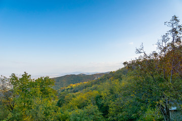 Fototapeta premium Autumn mountain view of Kakheti region of Georgia. Autumn leaves and trees around Sighnaghi town.