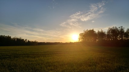 Fototapeta na wymiar Feld bei Sonnenaufgang