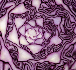 Obraz premium Red cabbage close-up. The texture of the cut cabbage