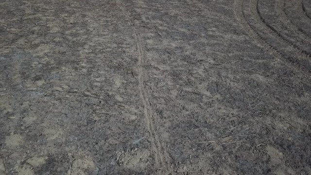 Constructed earth with wheel marks. The consequences of a fire. Ecological disaster on earth. The protection of natural resources. The extermination of living beings. Climate warming. Campfire popel.