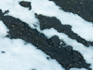 A thawed patch in the snow with black ground spring scenery