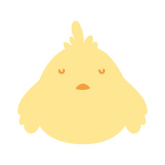 cute little chicken bird animal icon