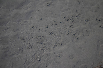 Fototapeta na wymiar Circular formations in sand from fresh water seeping through sand - Alaska