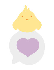 cute little chicken cartoon on love speech bubble heart