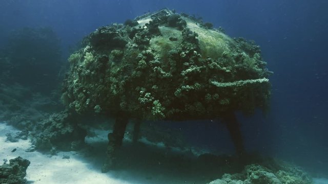 Cousteau House at Shab Rumi, Red Sea