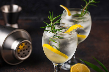 Gin tonic cocktail with lemon - obrazy, fototapety, plakaty