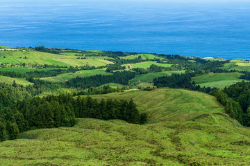 Lush vibrant rural countryside with pastures and meadows