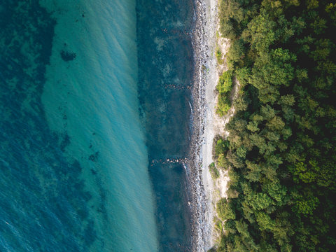 Aerial shot of a forest at the coastline of Grömitz in northern Germany