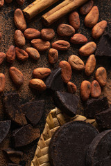 Cacao beans and chocolate on dark background