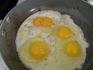 fried eggs
