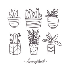 Home plants set set on an isolated background. Flower greenhouse in the house, garden, vegetable garden. Concept: logo for flower shop, icon for printing design. Hand illustration. Vector. EPS 10.