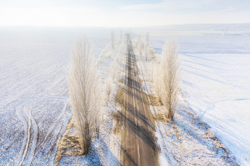 Frozen trees and a rural paved snowy road.