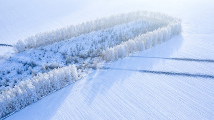 Snow-covered forest strip in the field, drone view