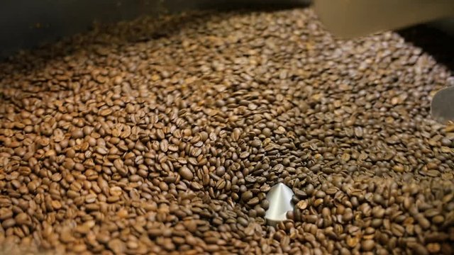 Rotating roasting machine with coffee beans. Close up shot as coffee machine grinds coffee beans.