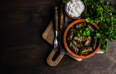 Traditional georgian tolma dish