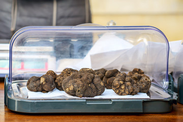 Les gros truffes noires sur le marché en Provence. 