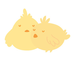 cute little chickens bird animal icon