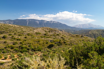Fototapeta na wymiar View at landscape on the westside of Greek island Rhodes with green vegetation in the foreground and mountain range in the background