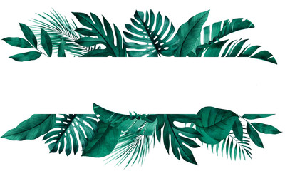 Tropical green plants banner design. Frame with exotic monstera, banana, palm leaves in background.