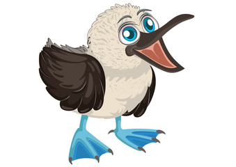 Blue Footed Booby Cartoon. Sula nebouxii. Piquero Camanay. Piquero Patas Azules