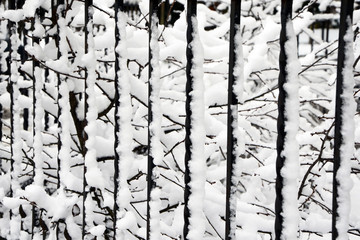 railing metal fence in the snow 