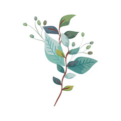 branches with leafs nature ecology isolated icon vector illustration design