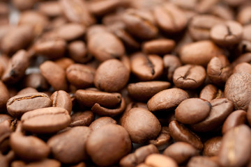 Close up shot of coffee beans on white background