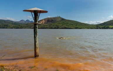 Homem nada na represa na bacia do Rio Pomba, no município de Astolfo Dutra, estado de Minas...