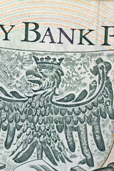 Polish banknote