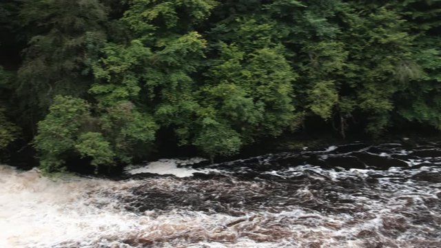 Falls of Clyde waterfall in full spate after heavy rains. New Lanark, Lanarkshire, Scotland